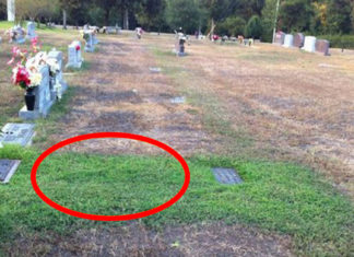 Stranger keeps secretly visiting soldier’s grave, when mom finds out ‘why’ she tracks him down