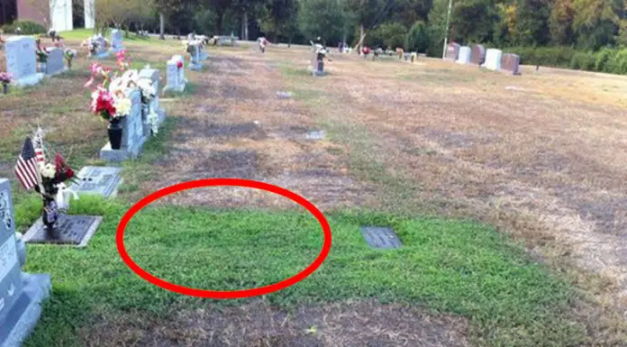 Stranger keeps secretly visiting soldier’s grave, when mom finds out ‘why’ she tracks him down