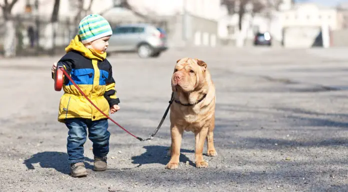 If Your Kids Have Been Asking For A Pet, Here Are 6 Reasons You Should Say Yes