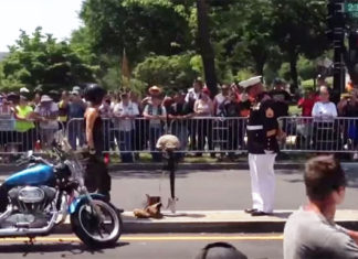 Marine honors military with four-hour salute; bikers pay their tribute back