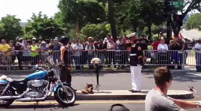 Marine honors military with four-hour salute; bikers pay their tribute back