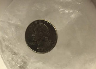 Here’s Why You Should Leave a Coin in the Freezer Before Leaving the House