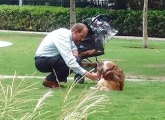 Man takes dog out of stroller, bends down to him thinking no one’s watching