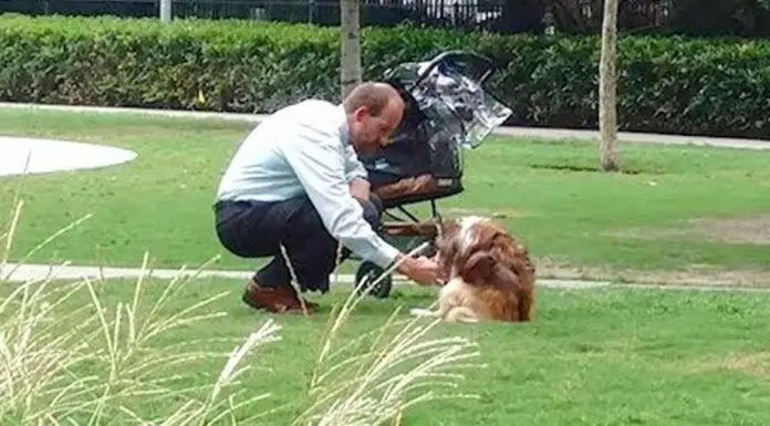 Man takes dog out of stroller, bends down to him thinking no one’s watching