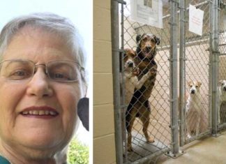 Woman asks for hardest to adopt dog