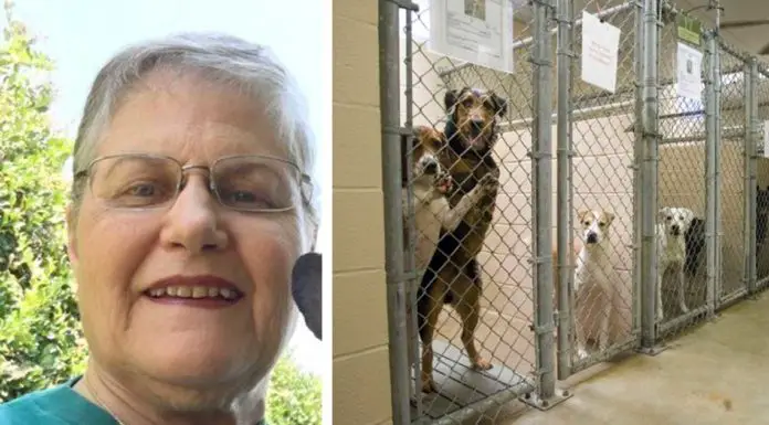 Woman asks for hardest to adopt dog