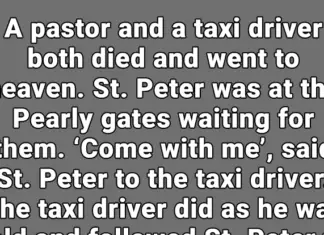 A funny joke about a taxi driver and pastor that went to heaven