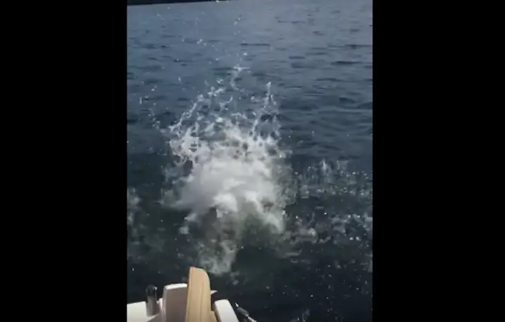 Grandpa Takes A Dive In The Lake On This 102nd Birthday