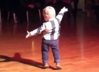 Toddler hears favorite song plays on, begins to dance the jive, but his last move cracks whole crowd