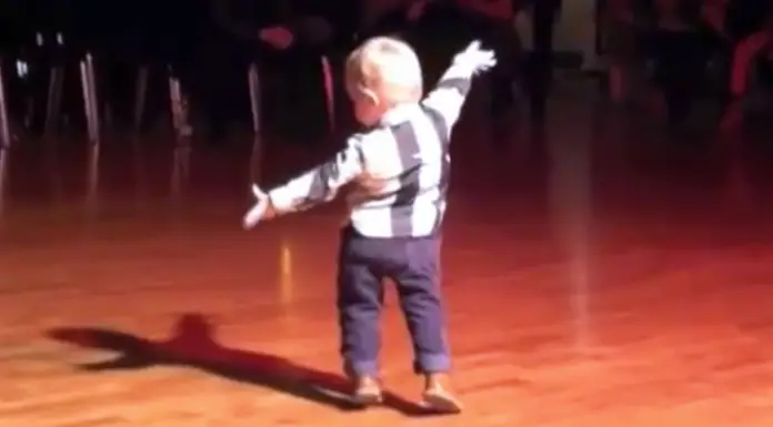Toddler hears favorite song plays on, begins to dance the jive, but his last move cracks whole crowd