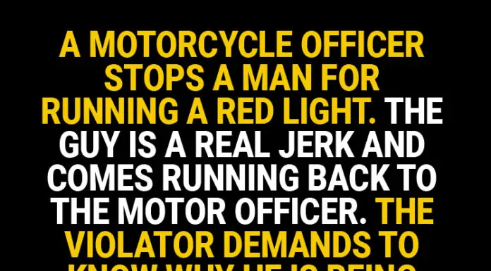 Officer has the most unexceptional response when a lawyer tries to defend his guilty client in court
