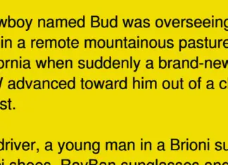 A rich yuppie tried to outsmart an old cowboy. His response? Priceless.