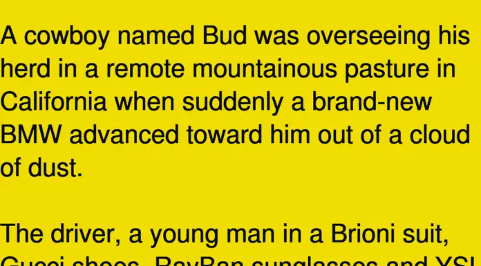 A rich yuppie tried to outsmart an old cowboy. His response? Priceless.