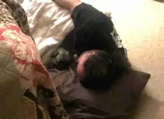 Wife Says No to Dog Sleeping in Their Bed – Husband’s Reaction Has Everyone’s Hearts Melt Away