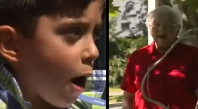 Little Boy Jumps Into Action After Seeing Neighbor In Trouble