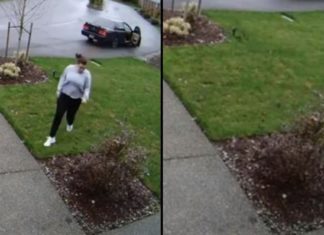 Package Thief Attempts To Steal From Front Porch, Then Karma Immediately Strikes Back With Full Force