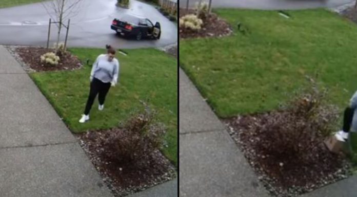 Package Thief Attempts To Steal From Front Porch, Then Karma Immediately Strikes Back With Full Force