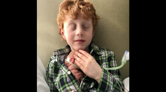 Little Boy’s Dream Of Being Big Brother Finally Comes True