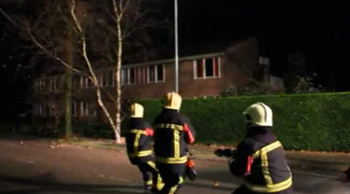 Firefighters Get Unlikely Help While Removing Tree