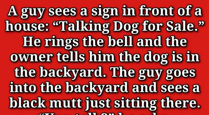 A Man Found Someone Selling A Talking For Only $10. But When You Hear Why So Cheap… HILARIOUS!