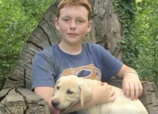 Creepy stranger attempts dragging 12-year-old into his car – boy remembers parents trick and teaches man a lesson