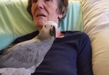 Dying woman says final goodbye to her parrot: The bird’s instant reaction leaves us in tears