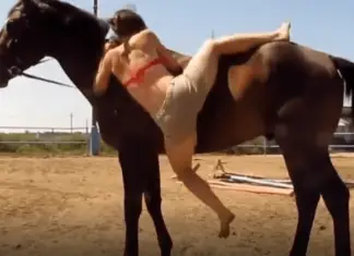 Horse surprises woman who fails to mount on his back with unexpected gesture