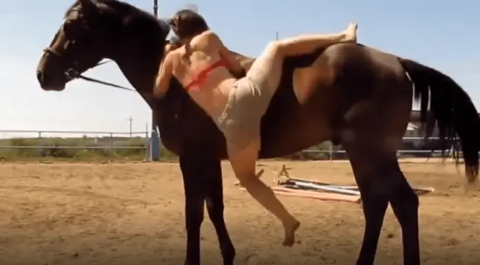 Horse surprises woman who fails to mount on his back with unexpected gesture