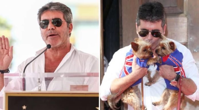 Simon Cowell donates $25,000 to help shut down dog meat farms in South Korea