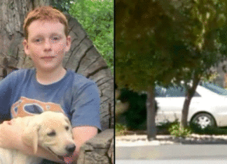 Creep tries to lure 12-year-old with candy, the boy remembers life-saving tip his parents gave him long ago