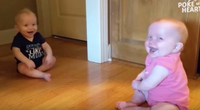 11-Month-Old Twins Keep Making Each Other Laugh, But Keep Your Eye On The Baby In Blue