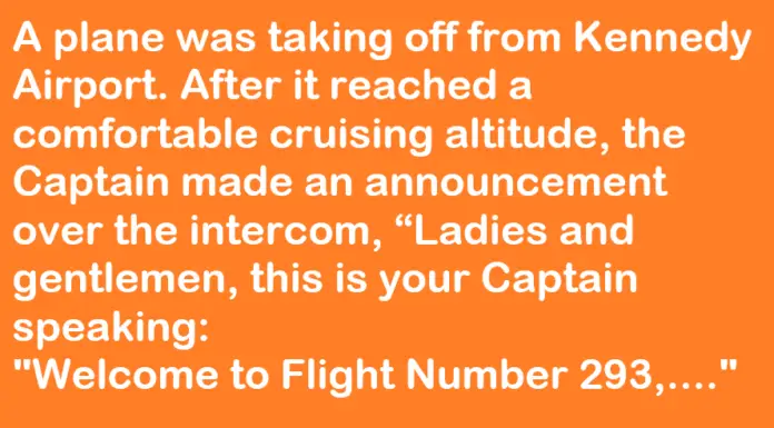 Hilarious (But Real) Exchanges Between Pilots, Flight Attendants, And Passengers