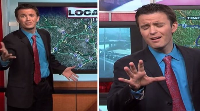 Millions Love Traffic Reporter’s Version Of Disney Song