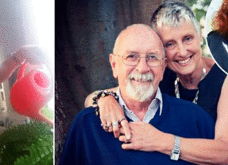 Man Waters Wife’s Plants Even After She Passed Away, But He Discovers Something Else