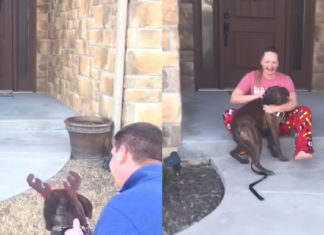 Parents surprise daughter by getting her the dog she cared for while volunteering at a shelter