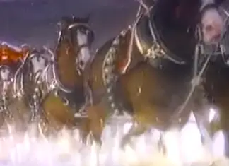 Clydesdale Christmas TV Clip From 1987 Is Full Of Holiday Magic