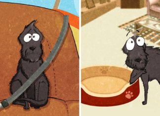 This is what we learned after we adopted a shelter dog