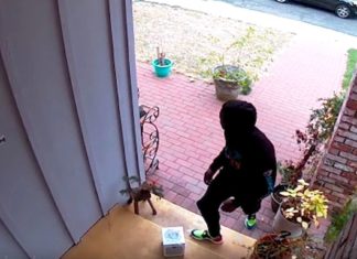 Amazon Package Thieves Pranked With Sweet Glittery Revenge
