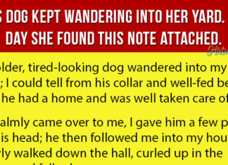 Woman Finds Hilarious Note Attached to Dog’s Collar