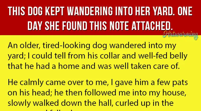 Woman Finds Hilarious Note Attached to Dog’s Collar
