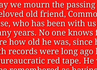 The best obituary ever written in a newspaper. This is spot on.