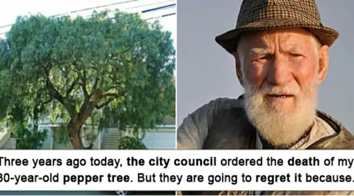 Funny story: Old man gets revenge on town that cut down his beloved tree