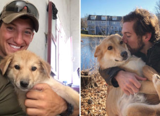 Soldier falls in love with puppy overseas, Watch moment they’re finally reunited in USA