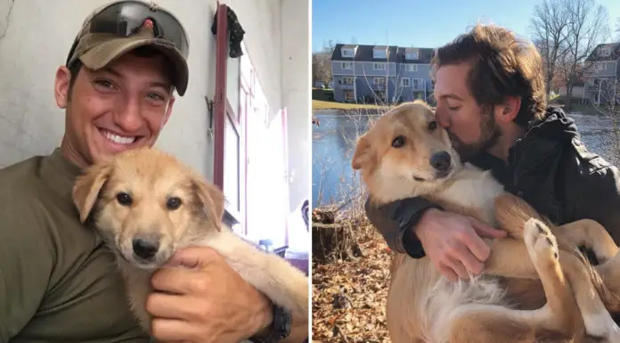 Soldier falls in love with puppy overseas, Watch moment they’re finally reunited in USA