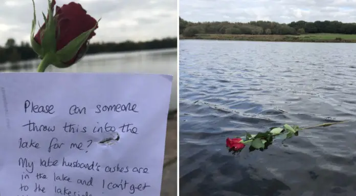 Widow’s Wish Fulfilled After Leaving a Single Rose and Heartbreaking Note on Lakeside Gate