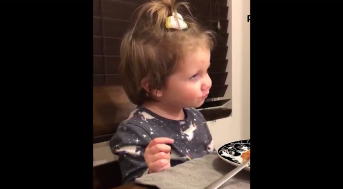 Dad playfully argues with toddler about her new boyfriend