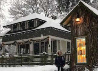 Woman Transforms Rotting Tree In Her Yard Into Charming Neighborhood Library