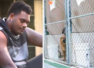 NFL player asks shelter for least adoptable dog and here’s who they gave him