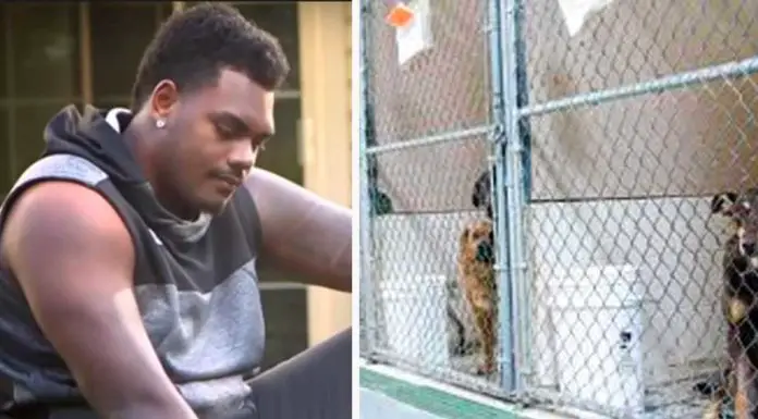 NFL player asks shelter for least adoptable dog and here’s who they gave him