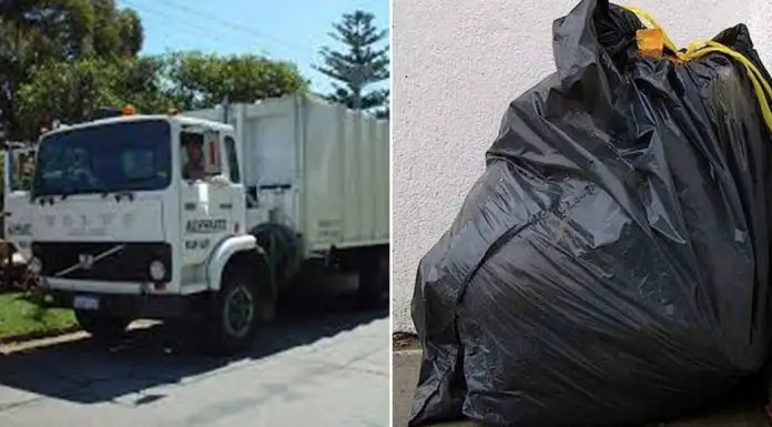 Trash collectors are about to crush garbage when they hear screams